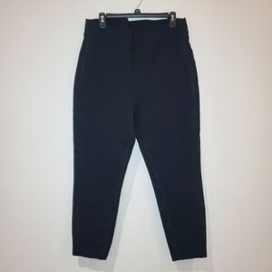 SPANX Backseam Skinny Ankle Pants Size 1X